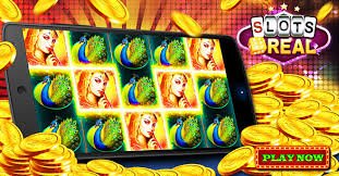 7spice Aapka Login, Aapka Lobby